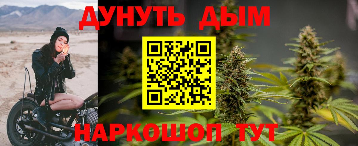 Марихуана тримм  МАРИХУАНА сатива  Медногорск  Вход с VPN  Бошки марихуана ГИДРОПОН  Каннабис Ganja 